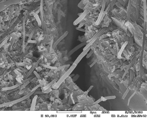 Carbon nanofibers bridging cracks in portland cement paste