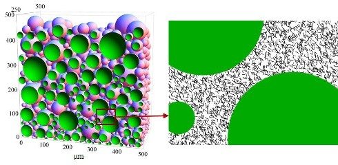 Computational analysis of geometry dependent clustering of nanometer inclusions